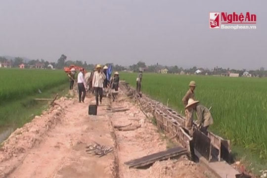 Xây dựng nông thôn mới: Cách làm sáng tạo ở Phúc Thành