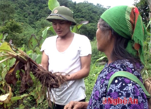 Người lính biên phòng cắm bản