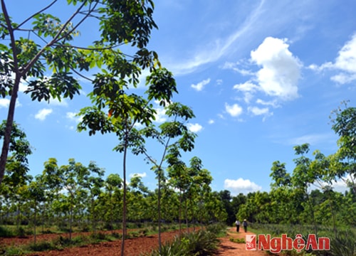 Tập 1: Đã chậm, còn vướng mắc