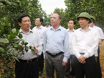 Tập trung nguồn lực, thực hiện thành công Nghị quyết 26 của BCT