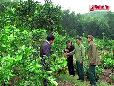 Phát huy phẩm chất Bộ đội Cụ Hồ trong xây dựng quê hương