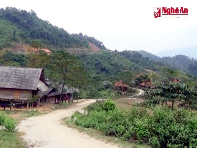 Quế Phong: Giữ rừng từ gốc