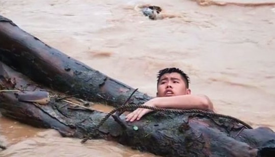 Liều mình vớt củi giữa dòng lũ
