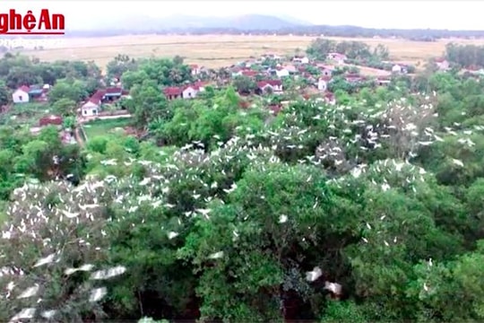 Vườn cò Lý Thành