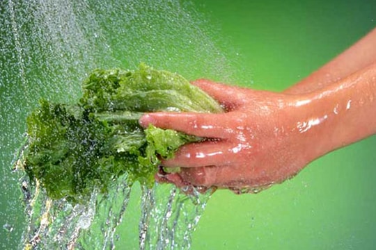 Cách chọn rau không tồn dư hóa chất độc hại