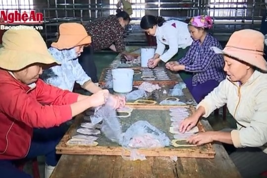 Ngày mới của phụ nữ vùng biển