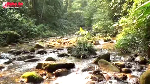 Khám phá vẻ  hoang sơ rừng nguyên sinh Pù Hoạt