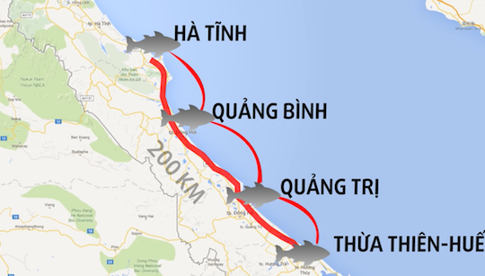 [Video] Nhìn lại toàn cảnh vụ cá chết ở biển miền Trung