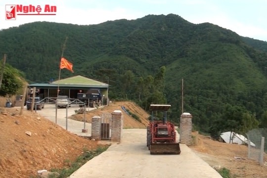 Trại bò có phong cảnh tuyệt đẹp ở đỉnh núi Tân Kỳ