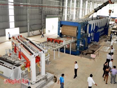 Quế Phong triển khai trồng nguyên liệu cho Nhà máy gỗ MDF Nghệ An