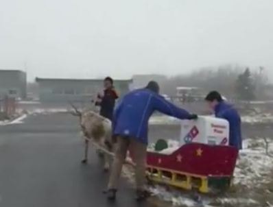 Giao pizza bằng tuần lộc trong mùa Giáng sinh
