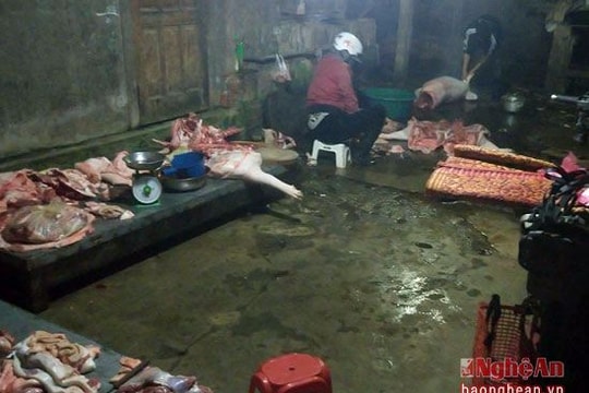 Bản tin An ninh - trật tự 24h qua