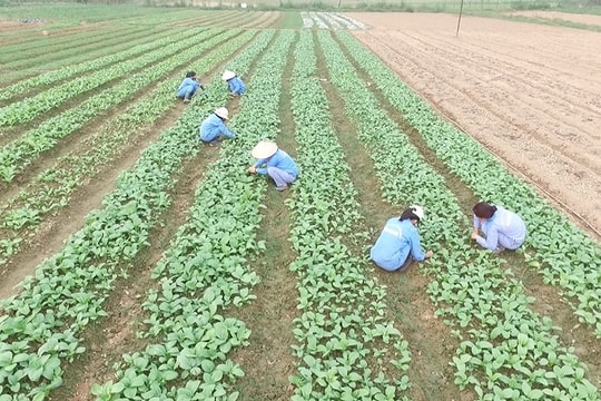 Địa chỉ mua thực phẩm sạch an toàn cho gia đình bạn