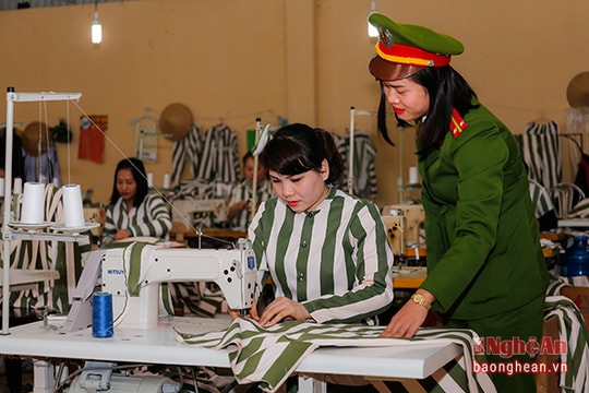 Những bóng hồng trong trại giam