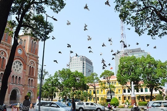 Những tuyến vỉa hè đẹp ở trung tâm Sài Gòn