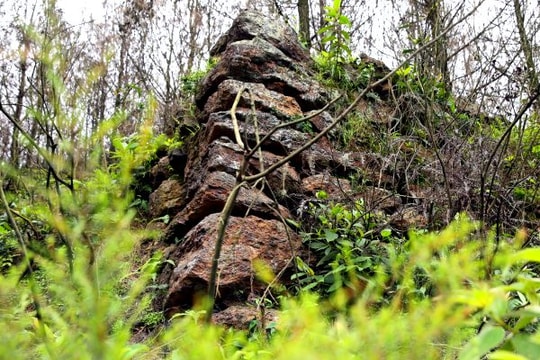 Khám phá Lục Niên thành