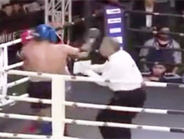 Võ sỹ vô tình hạ knock out trọng tài