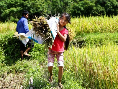 Theo mẹ ra đồng