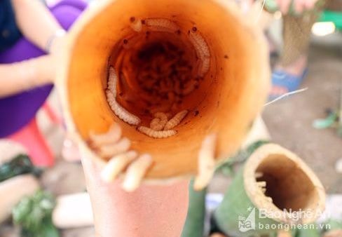 Những món ăn từ côn trùng vào mùa Thu chỉ có ở vùng cao