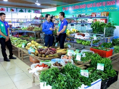Ra mắt 'thương hiệu' nông sản sạch của thanh niên Nghệ An
