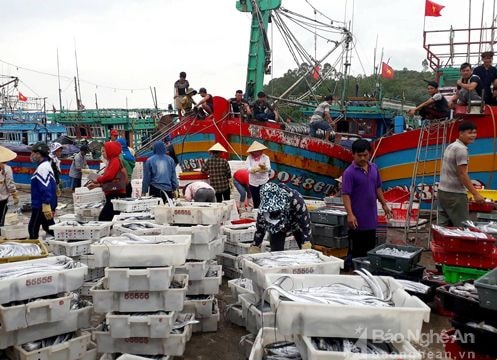 Hơn 373 tỷ xây dựng khu chế biến thủy sản ở Quỳnh Lưu