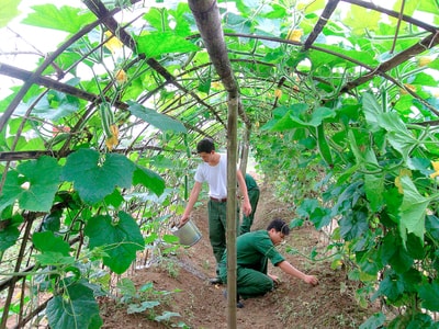Tăng cường tiềm lực, thế trận Hậu cần khu vực phòng thủ Quân khu 4