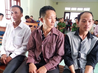 Lĩnh án tù vì thuê người vào rừng chặt gỗ sa mu