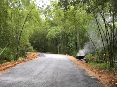 Thảm nhựa con đường xanh 45 năm tuổi đẹp nhất Con Cuông