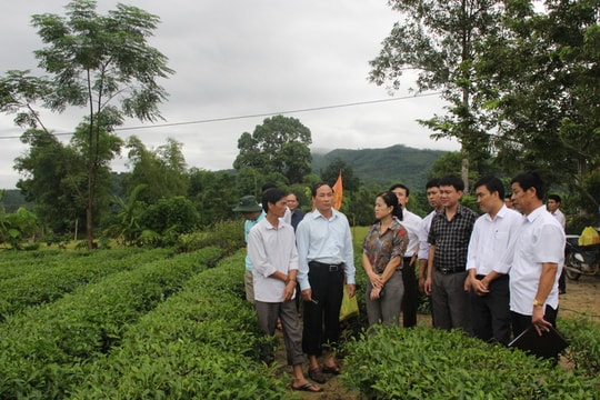 Tránh trùng lặp đối tượng thụ hưởng chính sách theo chương trình 135