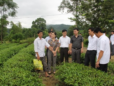 Anh Sơn: Thiếu đất sản xuất cho người dân vùng đặc biệt khó khăn