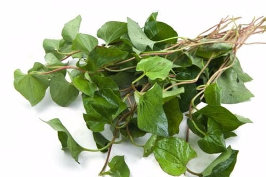 Diếp cá đánh bay tàn nhang và nám