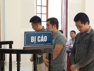 Đi siết nợ, bắt nhầm đàn dê nhà người khác