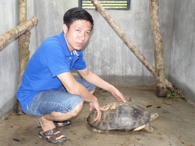 Thả cụ rùa ở Thanh Chương về rừng quốc gia Pù Mát