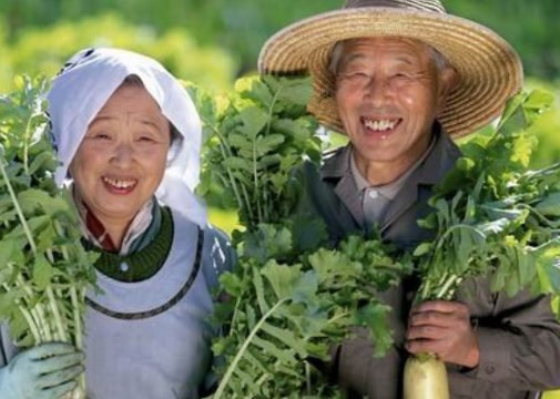 Công thức của sống lâu của 5 quốc gia có người trường thọ nhất thế giới