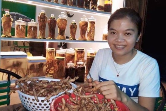 Những công chức trẻ rời biên chế nhà nước về nhà buôn gà, bán rau