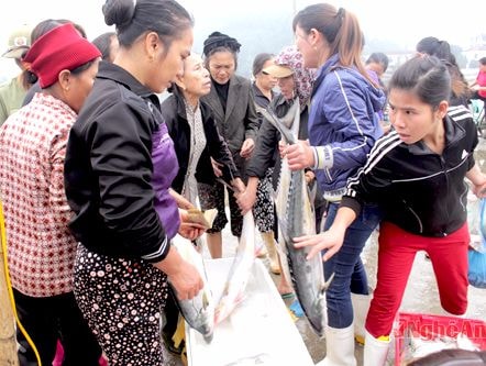 Cử tri Cửa Lò: Cần quan tâm đến vấn đề bảo vệ nguồn lợi thủy sản