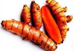 Trồng nghệ đỏ thu nhập từ 300 - 400 triệu đồng/ha