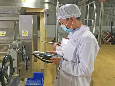 Đảm bảo an toàn lao động và phòng chống bệnh nghề nghiệp