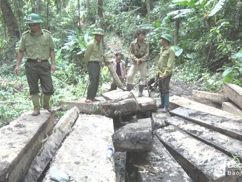 Báo chí cần đề cao tính kịp thời, tích cực trong thông tin các vấn đề nóng