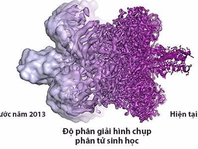 Kỹ thuật chụp phân tử sinh học ba chiều giành Nobel Hóa học