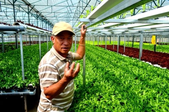 Gạt bỏ lòng tham để có nông sản sạch