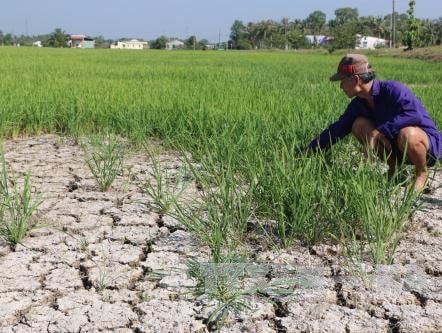 GDP 7,46%: Cú đề-pa quan trọng