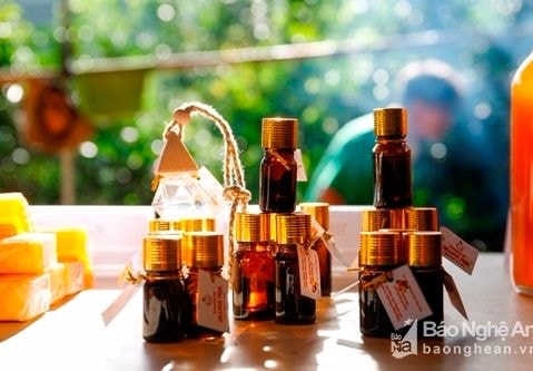 Người trồng cam Con Cuông lo không được dán tem 'Cam Vinh'