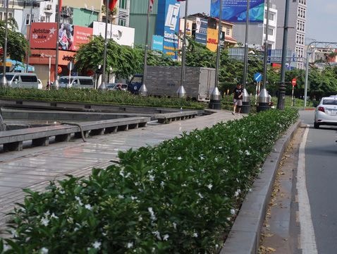 Bị đâm chết khi đi xin 'đểu' ở công viên