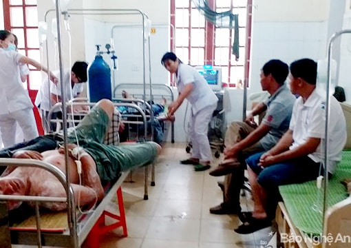 Hầu hết nạn nhân bị ong đốt ở Thanh Chương đã xuất viện