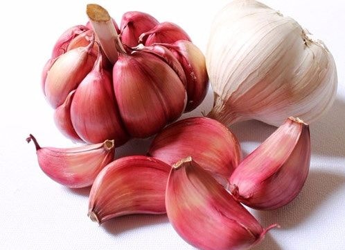 Giảm 3kg/tháng 'thắt eo' bằng tỏi và mật ong