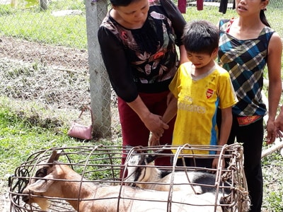 Con Cuông hỗ trợ sinh kế cho người khuyết tật, trẻ mồ côi