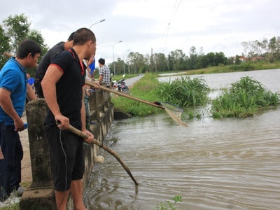 Bất chấp nguy hiểm, người dân kéo điện lưới kích cá