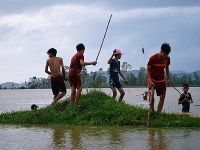 Cả làng hò nhau diệt chuột lụt
