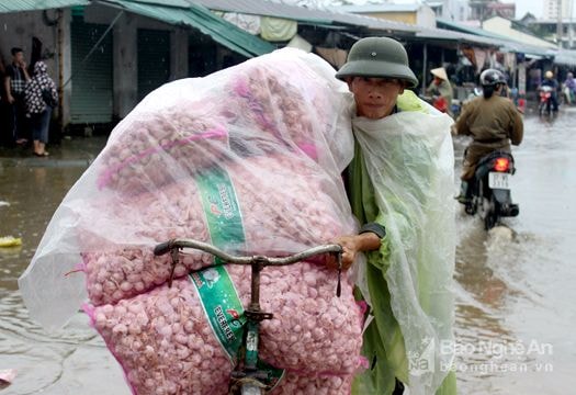 Chợ Vinh ngập lụt trở lại, tiểu thương gấp rút di chuyển hàng